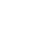 wordpressIcon
